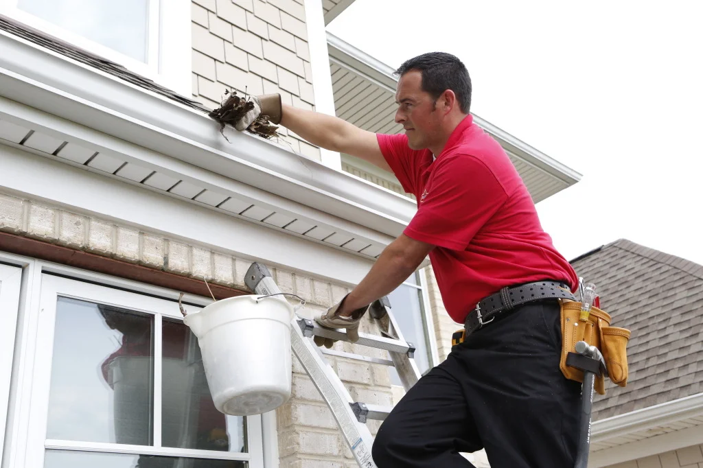 Gutter cleaning